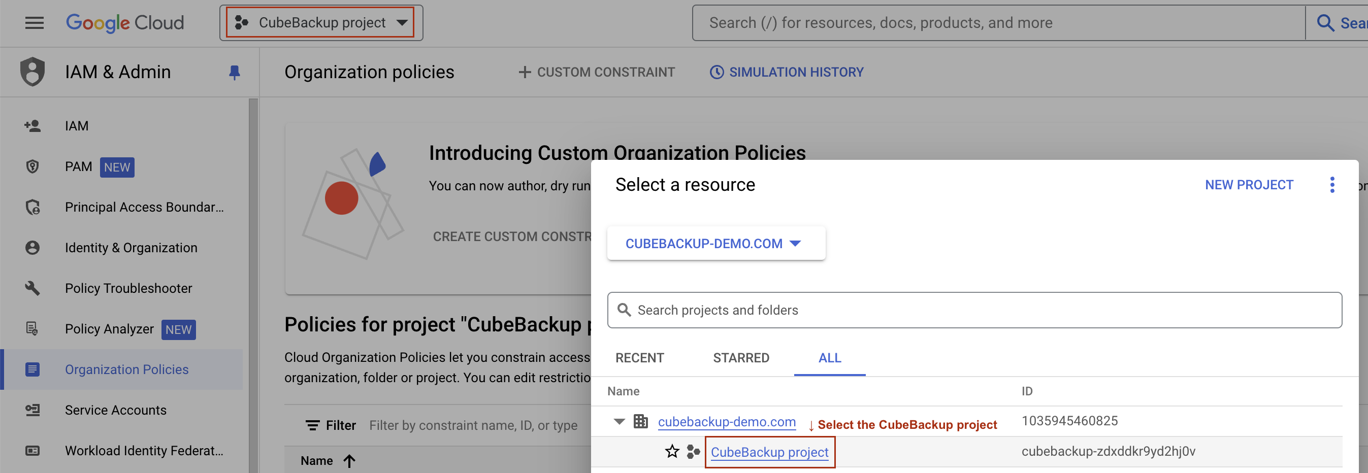 select the CubeBackup project